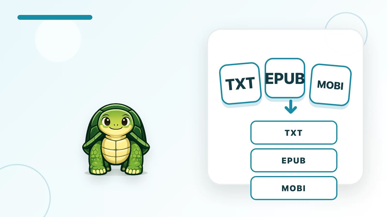 プライベートな本のインポート前にTXT、EPUB、MOBIのファイルカードを確認するTortoLingua turtle(カメ)のマスコット